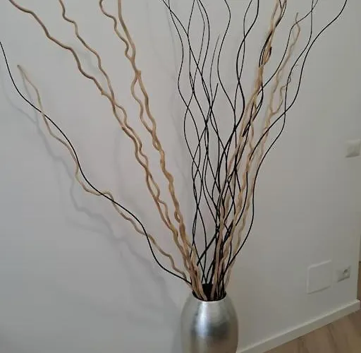 Apartamento Domus 95 Roma